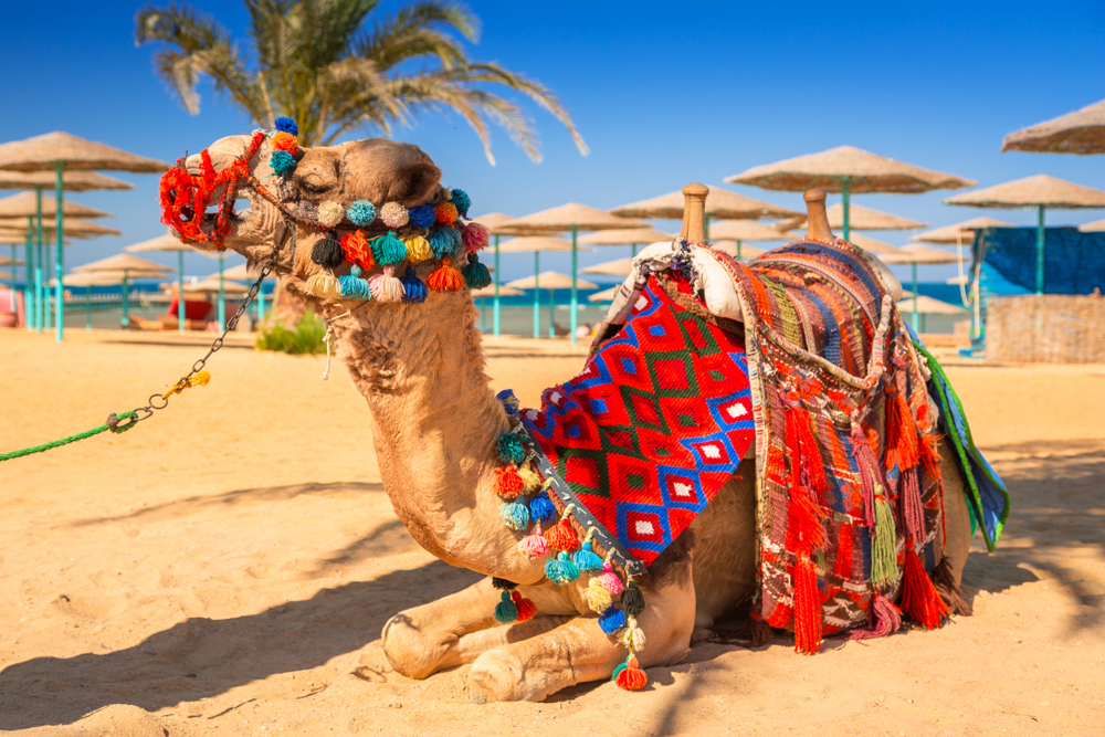 hurghada 2