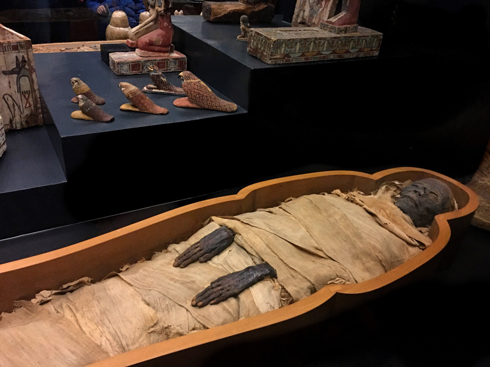 Luxor Museum and Mummification Museum tour